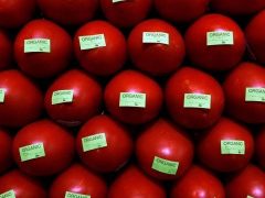Organic tomatoes - Source: Getty Images